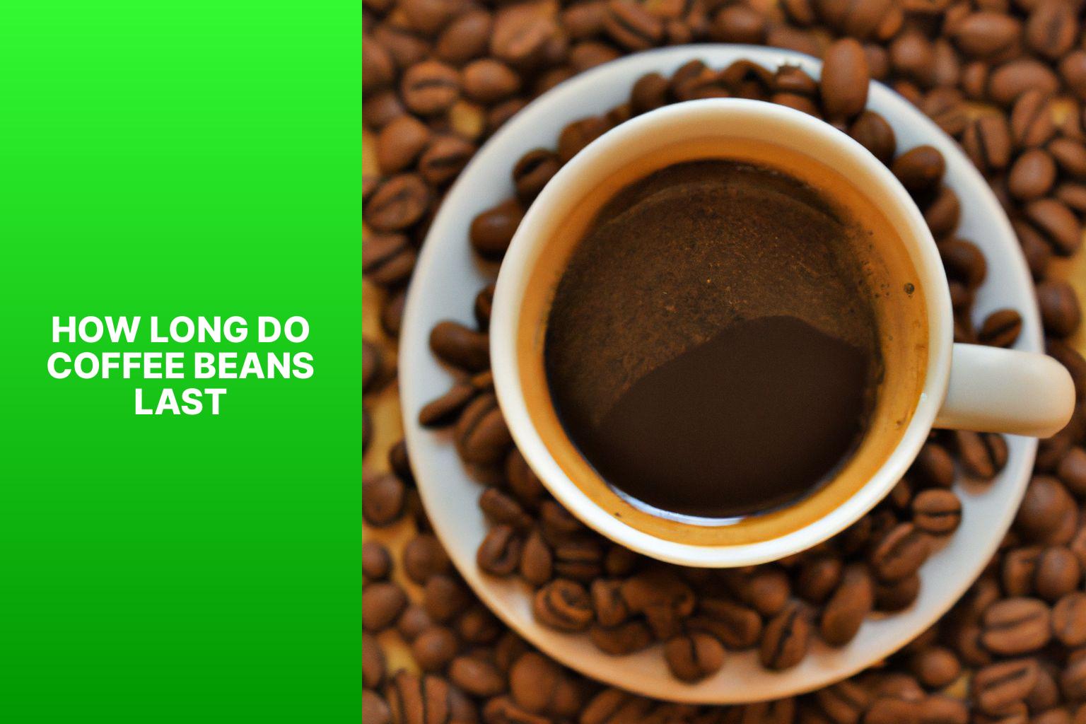how long do coffee beans last