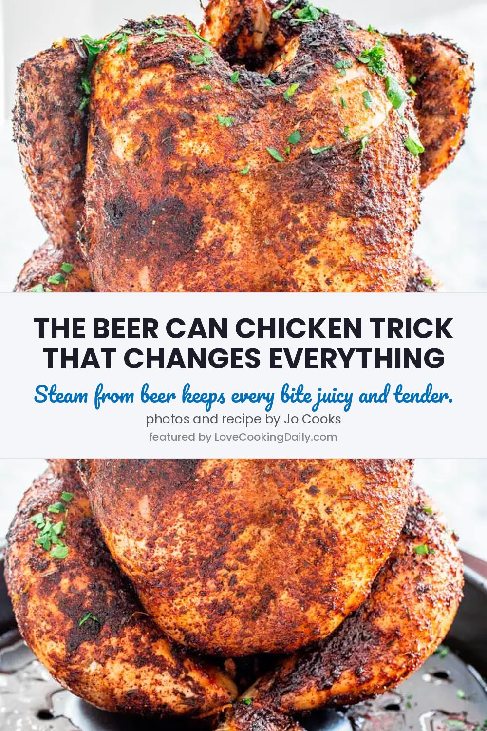 Beer Can Chicken Recipe In Oven – Best Recipes Ever! - LoveCookingDaily.com