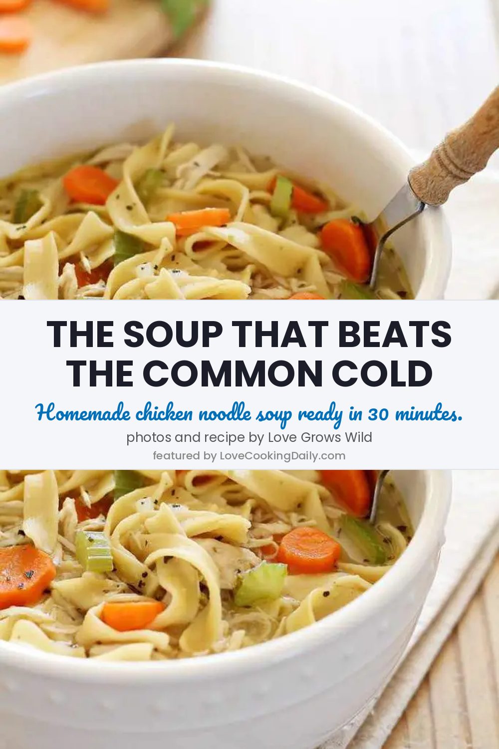 Delicious Homemade Chicken Noodle Soup Ready In Under 30 Minutes! - LoveCookingDaily.com