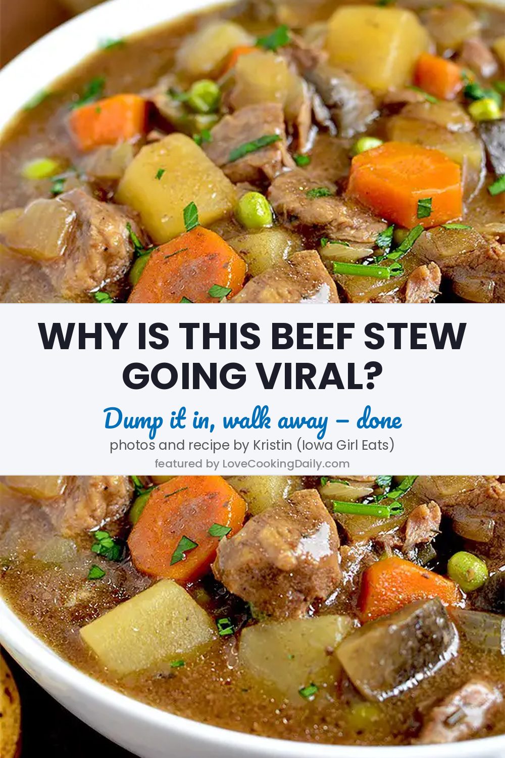 Easy And Delicious Dump Beef Stew You Can Make In A Crock Pot - LoveCookingDaily.com