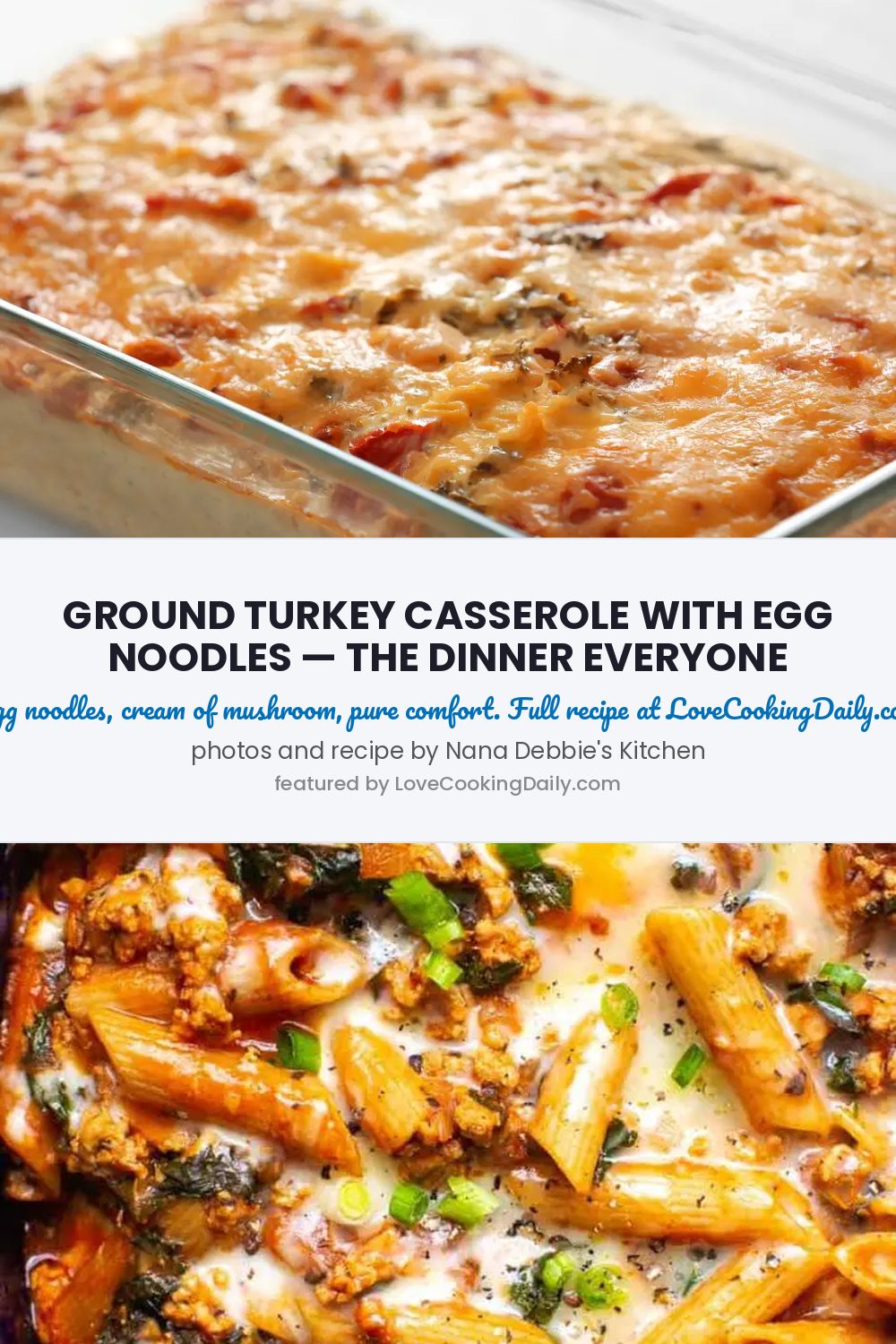 Ground Turkey Casserole With Egg Noodles And Cream Of Mushroom Soup - LoveCookingDaily.com