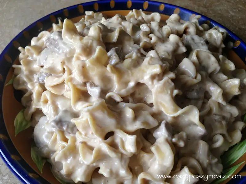 Fast And Easy Crock Pot Beef Stroganoff