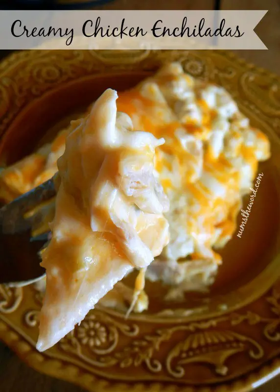 These Creamy And Delicious Chicken Enchiladas Are Not Your Typical Enchiladas!