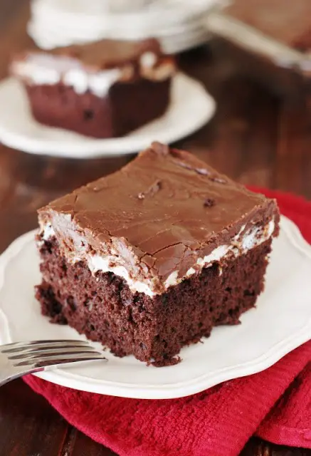Rich And Delicious Marshmallow Chocolate Cake