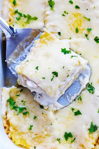 Saucy, Cheesy White Chicken Lasagna Made In Your Slow Cooker!