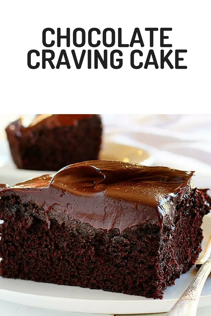Chocolate Craving Cake Recipe