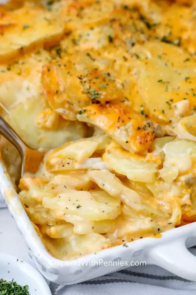 Best Cheesy Scalloped Potatoes Recipes-Quick and easy scalloped potatoes recipe
