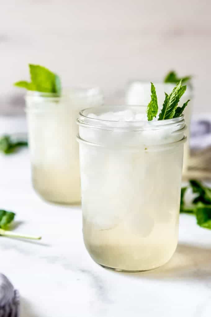 Non-Alcoholic Mint Julep