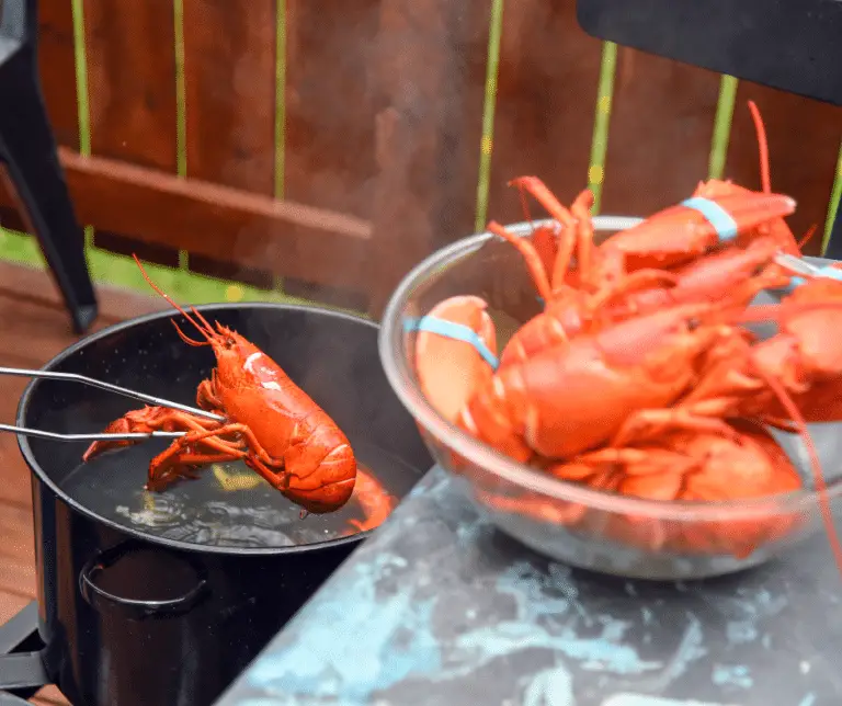 What is Minimum Internal Cooking Temperature for Whole Lobster?